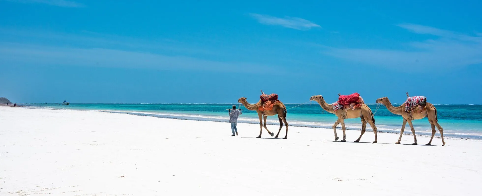 Mombasa Beach & Safari