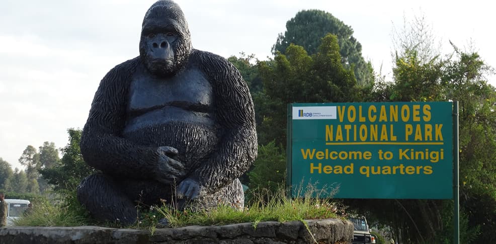 Rwanda Gorilla Safari