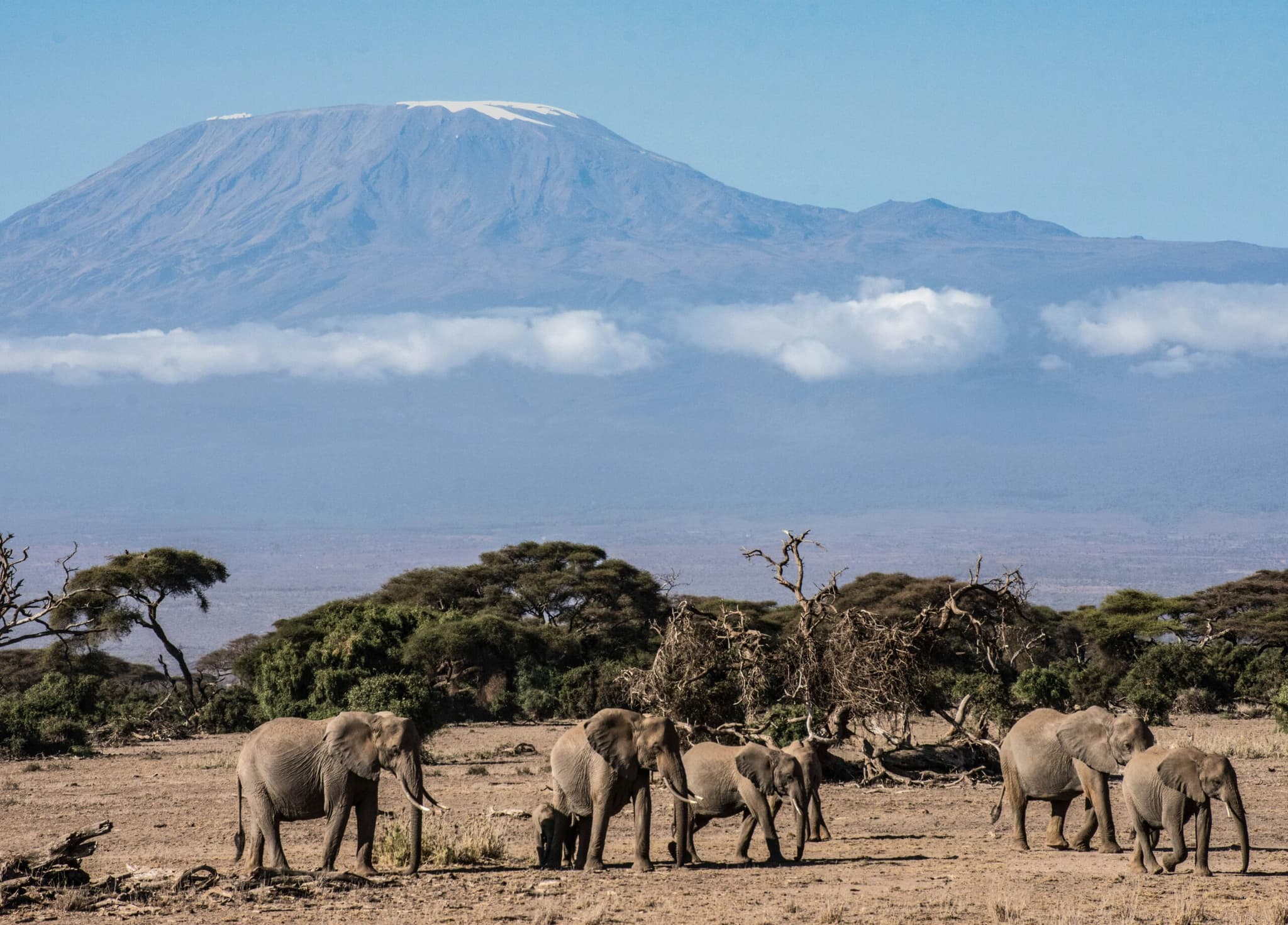 Kenya 8 Days Budget Big 5 Safari 2026 - Extended Big Five Adventure from $2930
