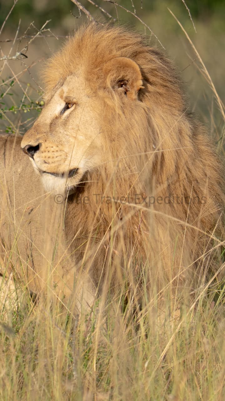 6-Day Tsavo Big Five Adventure