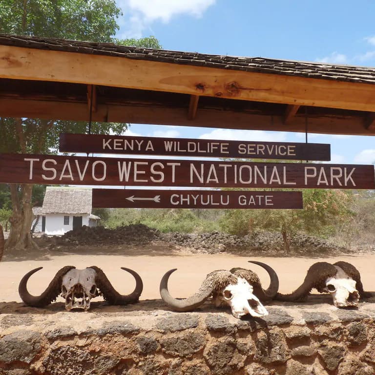 Tsavo East & West Safari