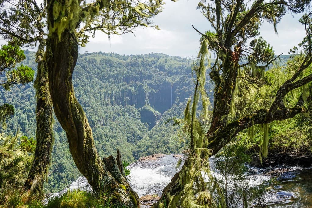Aberdare National Park