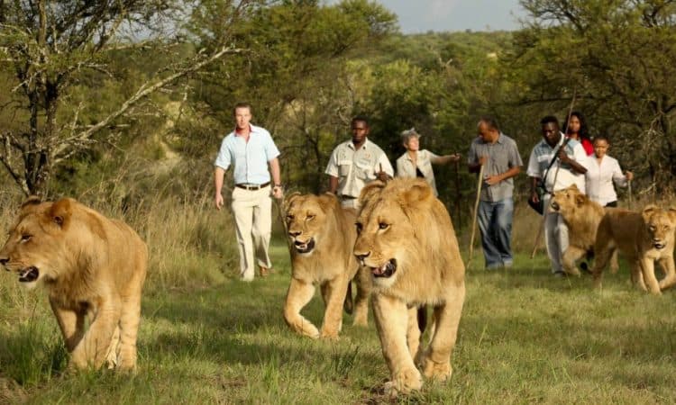 Akagera National Park