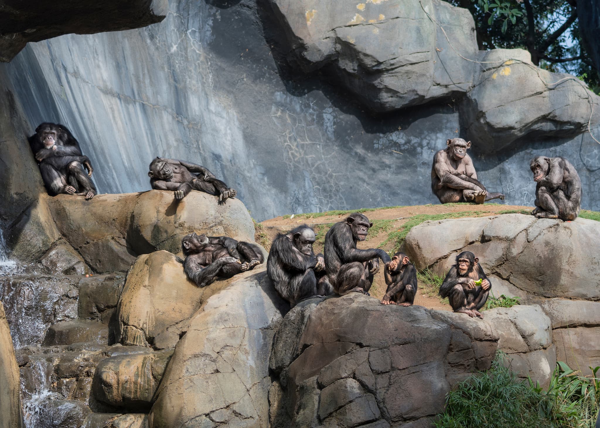 Mahale Chimpanzee Trek