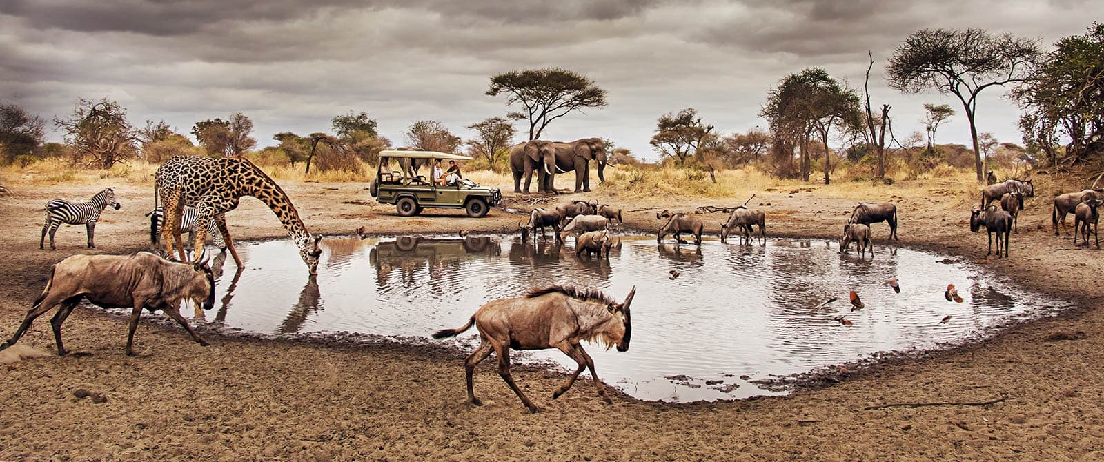 Northern Circuit Safari