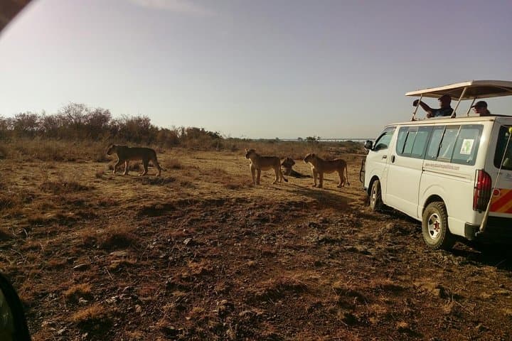 Wheelchair-accessible 4x4 game drive spotting wildlife, Uganda