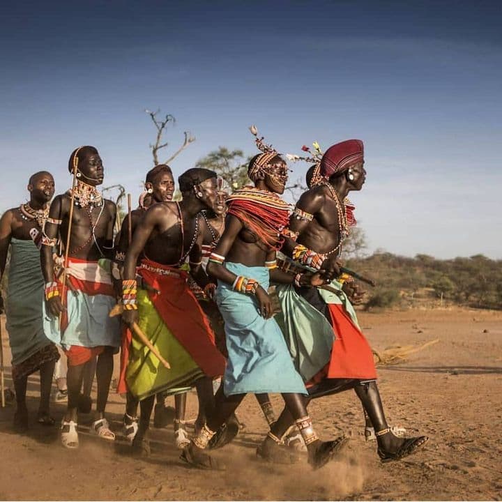 Wildebeest migration game viewing in Masai Mara National Reserve - budget safaris Kenya, cheap safaris in Kenya