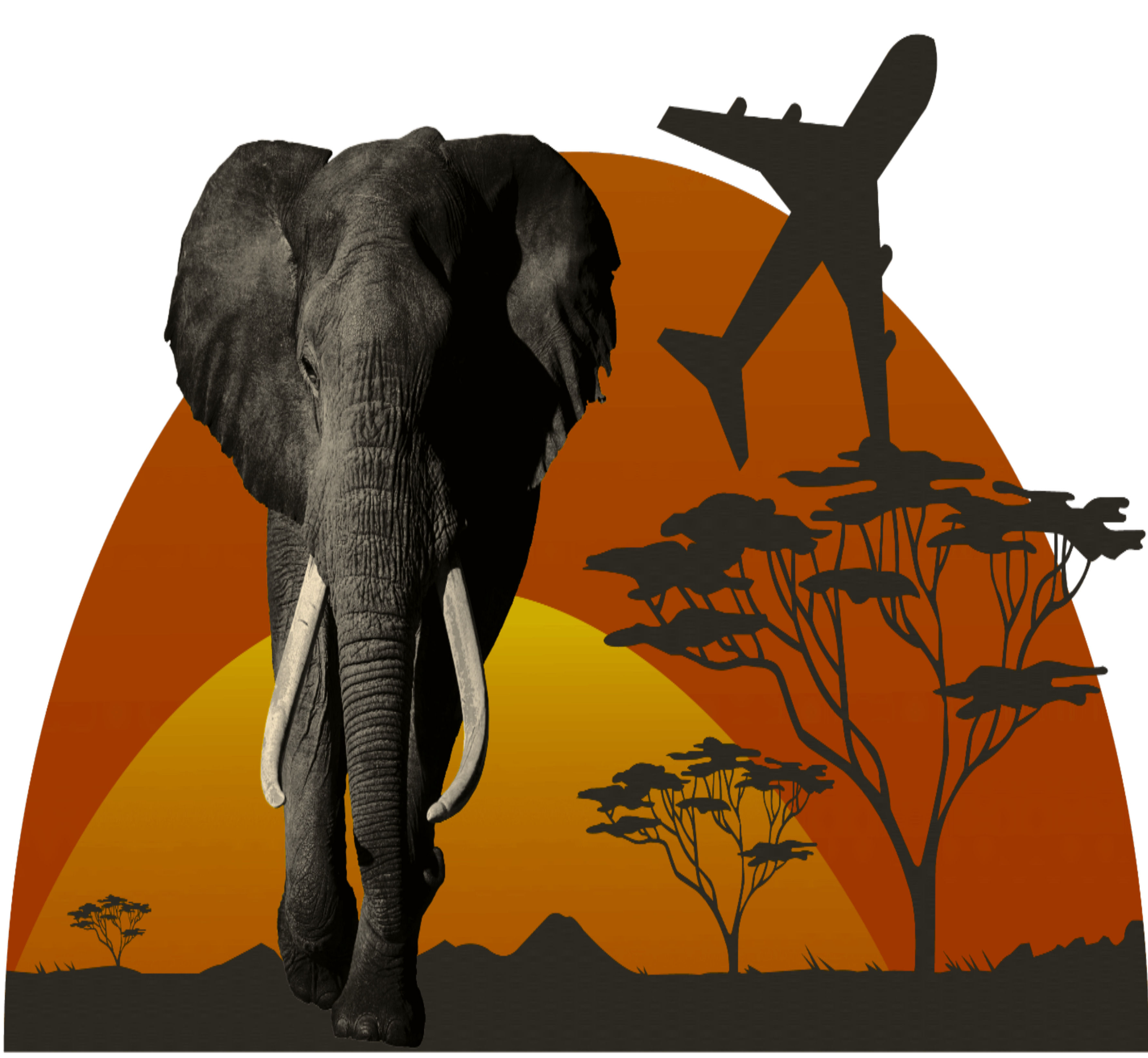 JaeTravel Expeditions